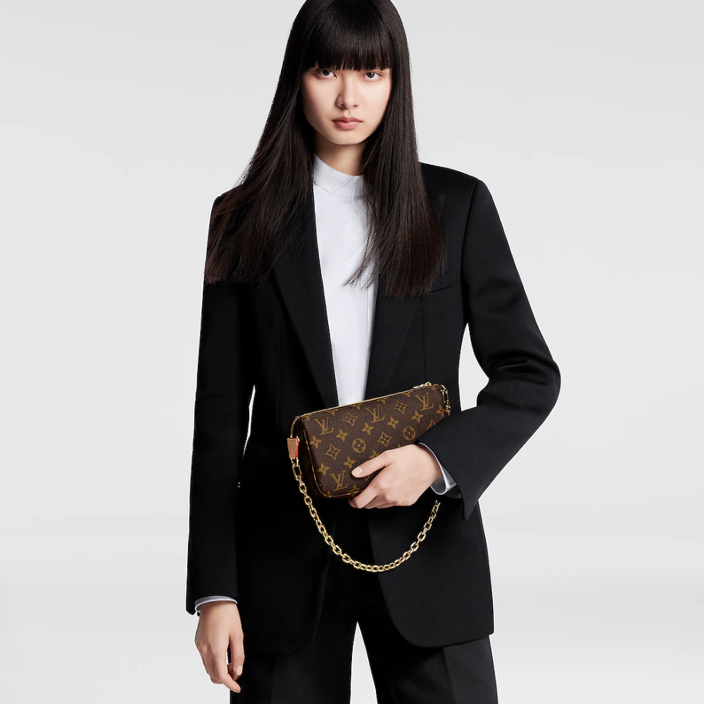 LV Pochette Accessoires - Brown