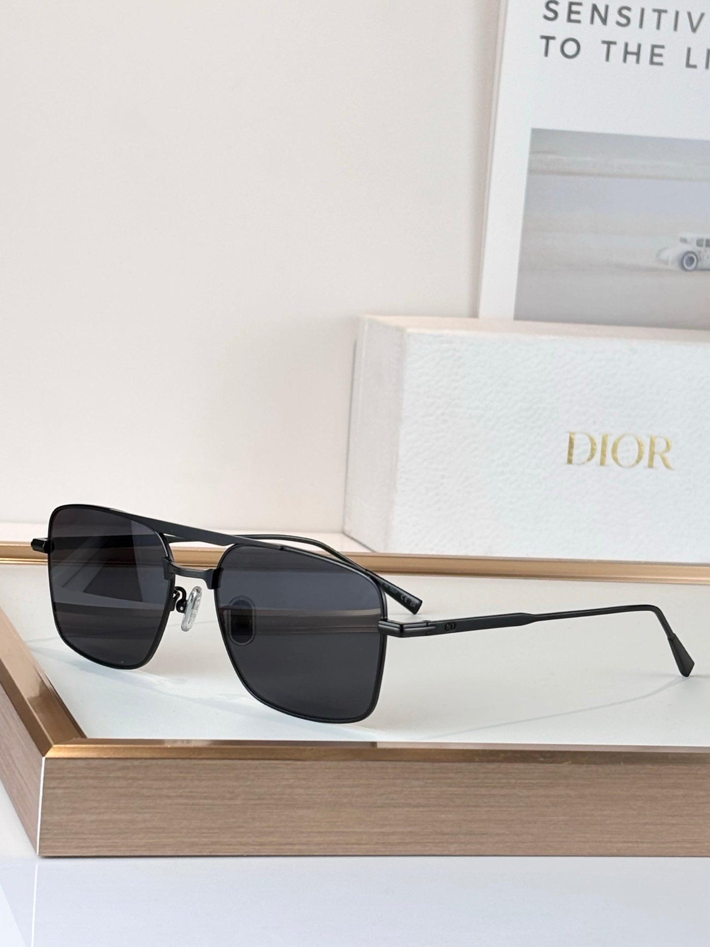Dior Sunglasses-DIORBLACKSUIT s17U