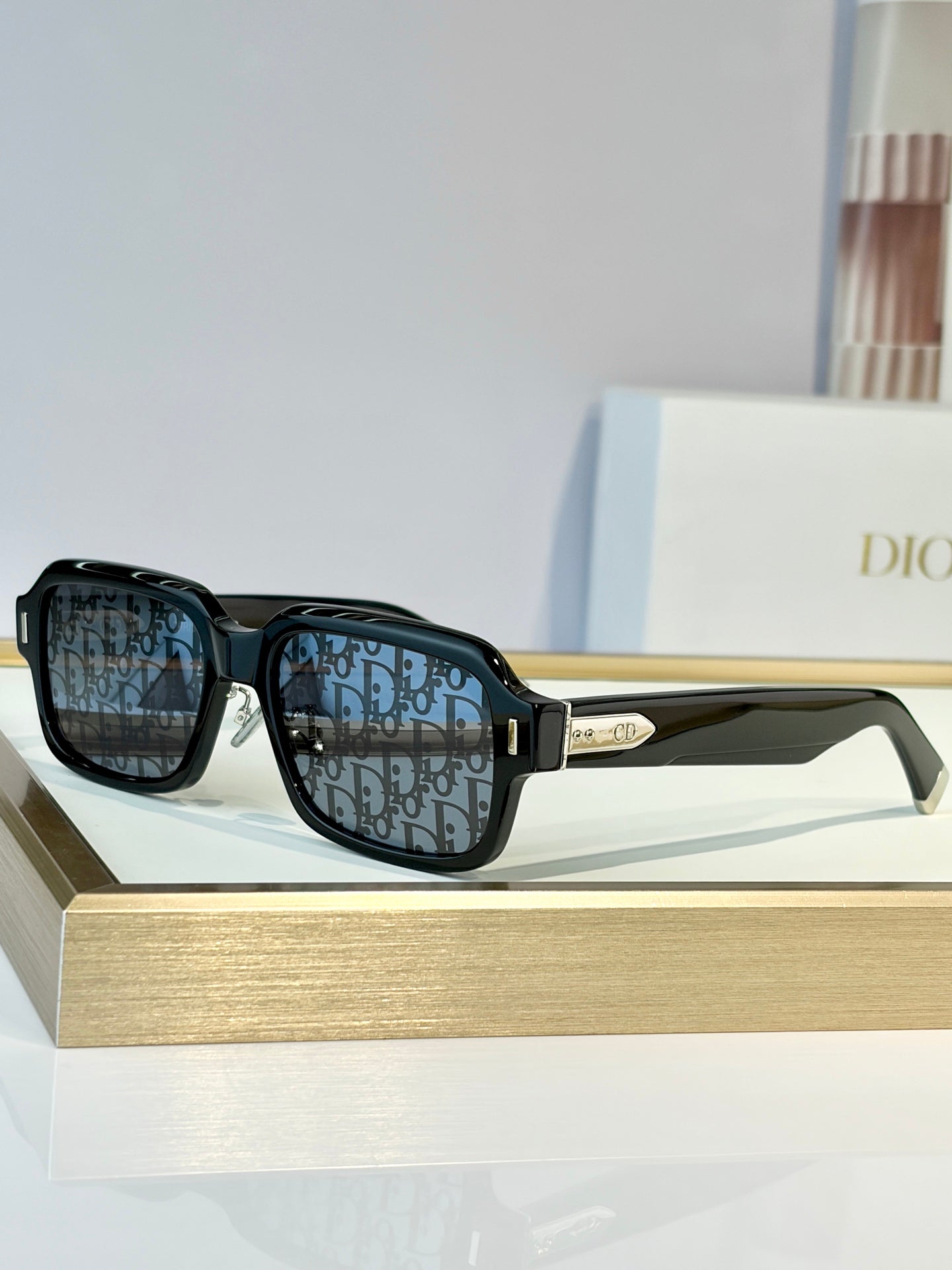DIOR Sunglasses-Diortailoring S2F