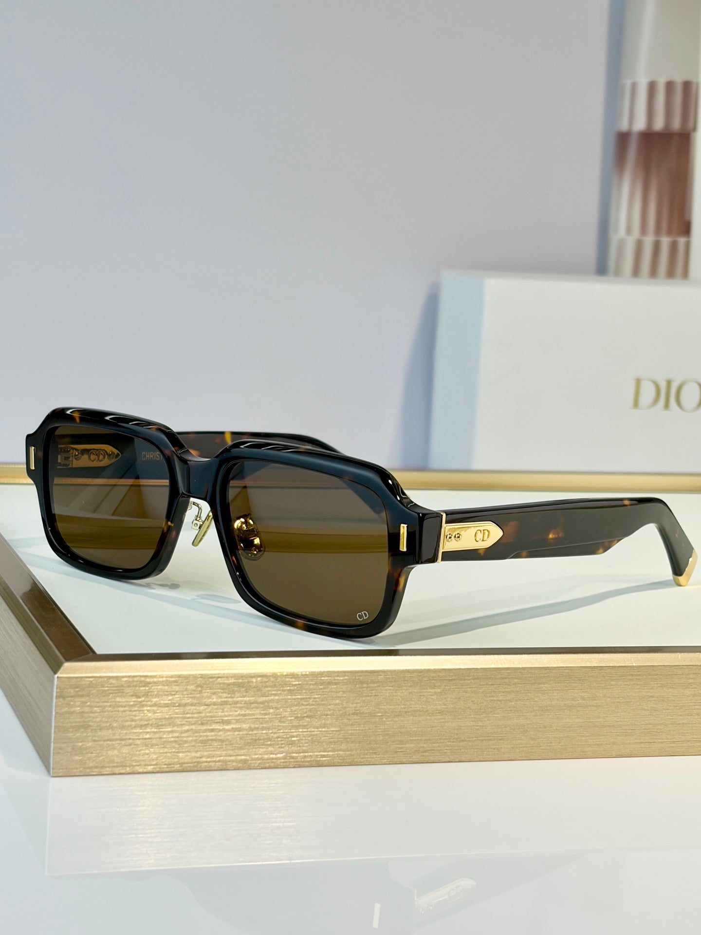 DIOR Sunglasses-Diortailoring S2F
