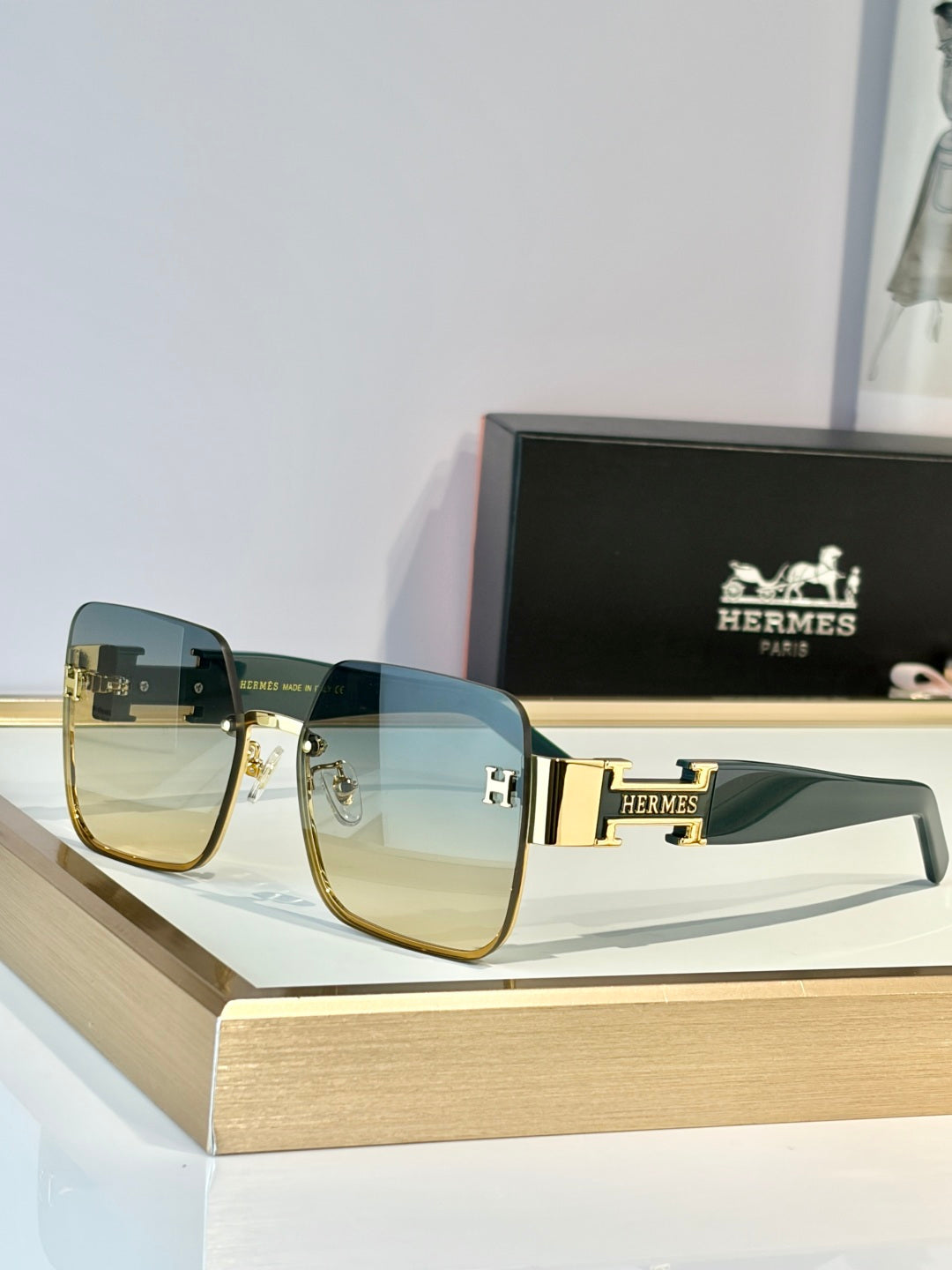 HERMES Sunglasses-H8021