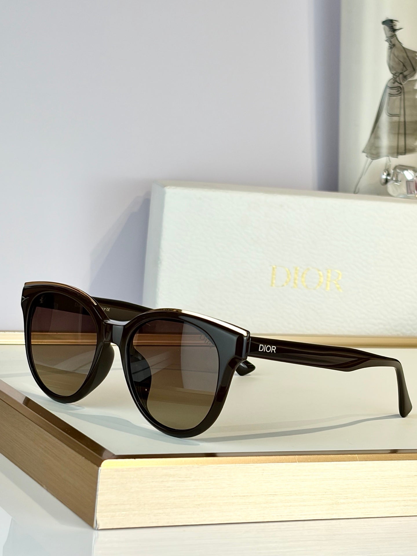 DIOR Sunglasses-CD0264S