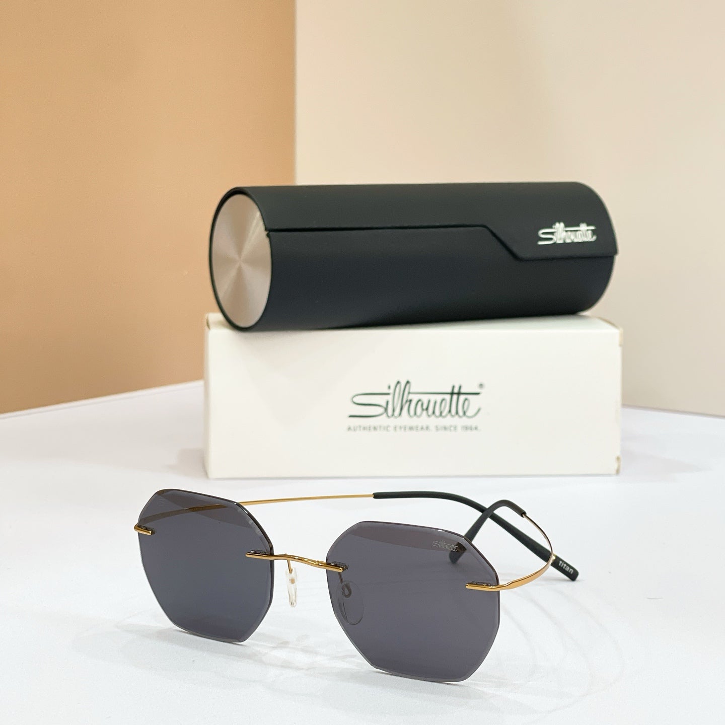 Silhouette Eyeglasses 5599 AC