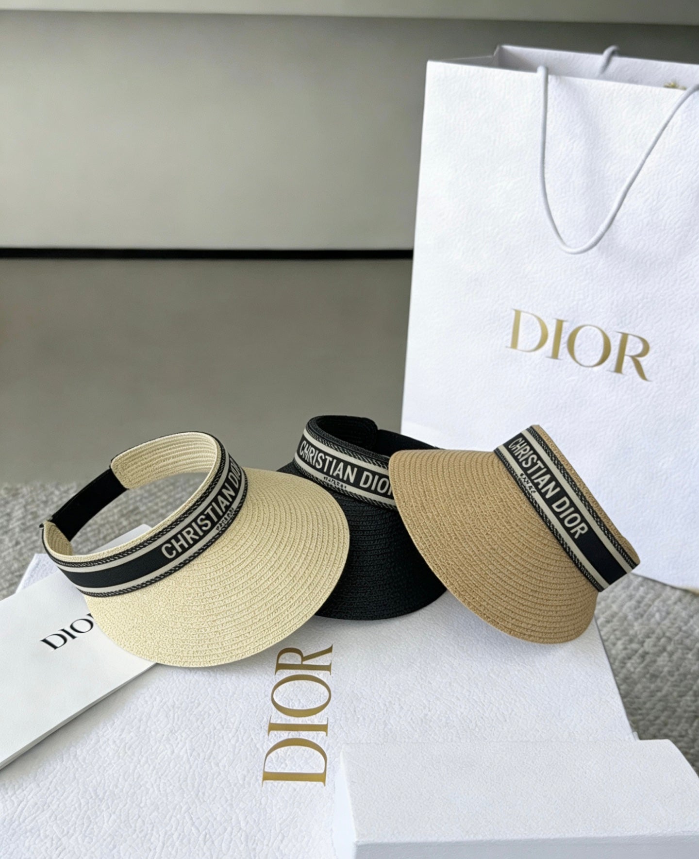 DIOR Sun Visor